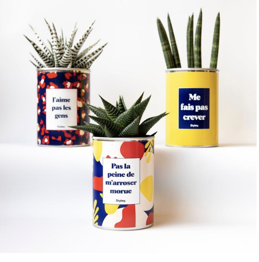 plantes-decales